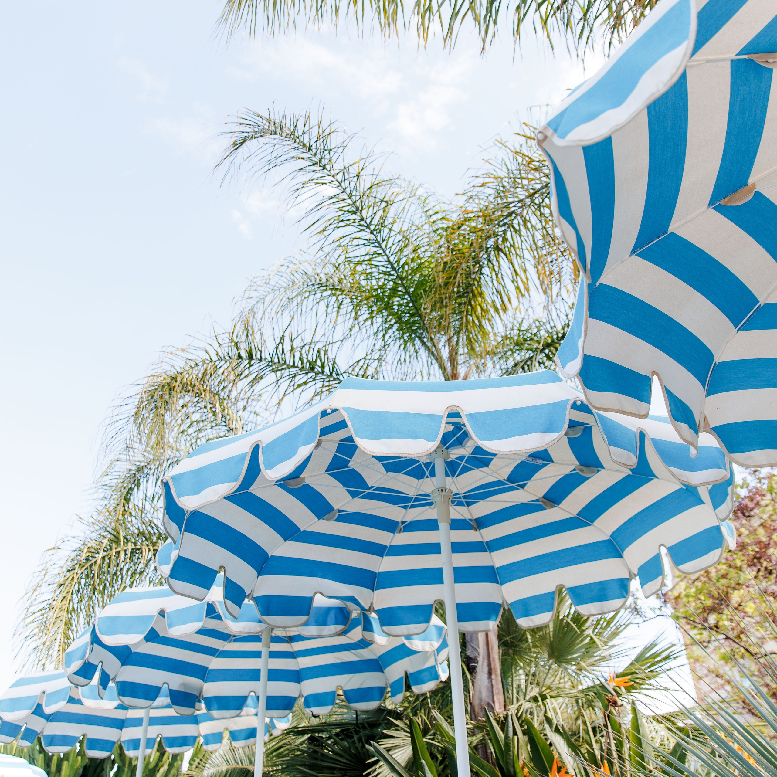 Rehearsal Party at Gran Villa Rosa — A Wedding Photographer’s View. Wedding Photographer in Barcelona | Lana Alekhina