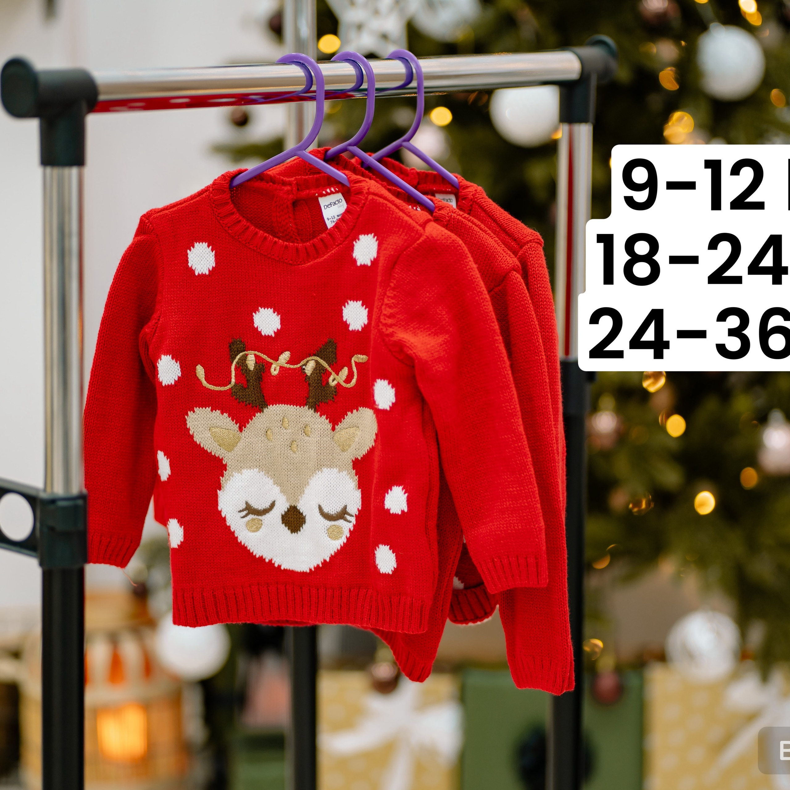 Ședința foto de Crăciun. Diana Muntean Photography