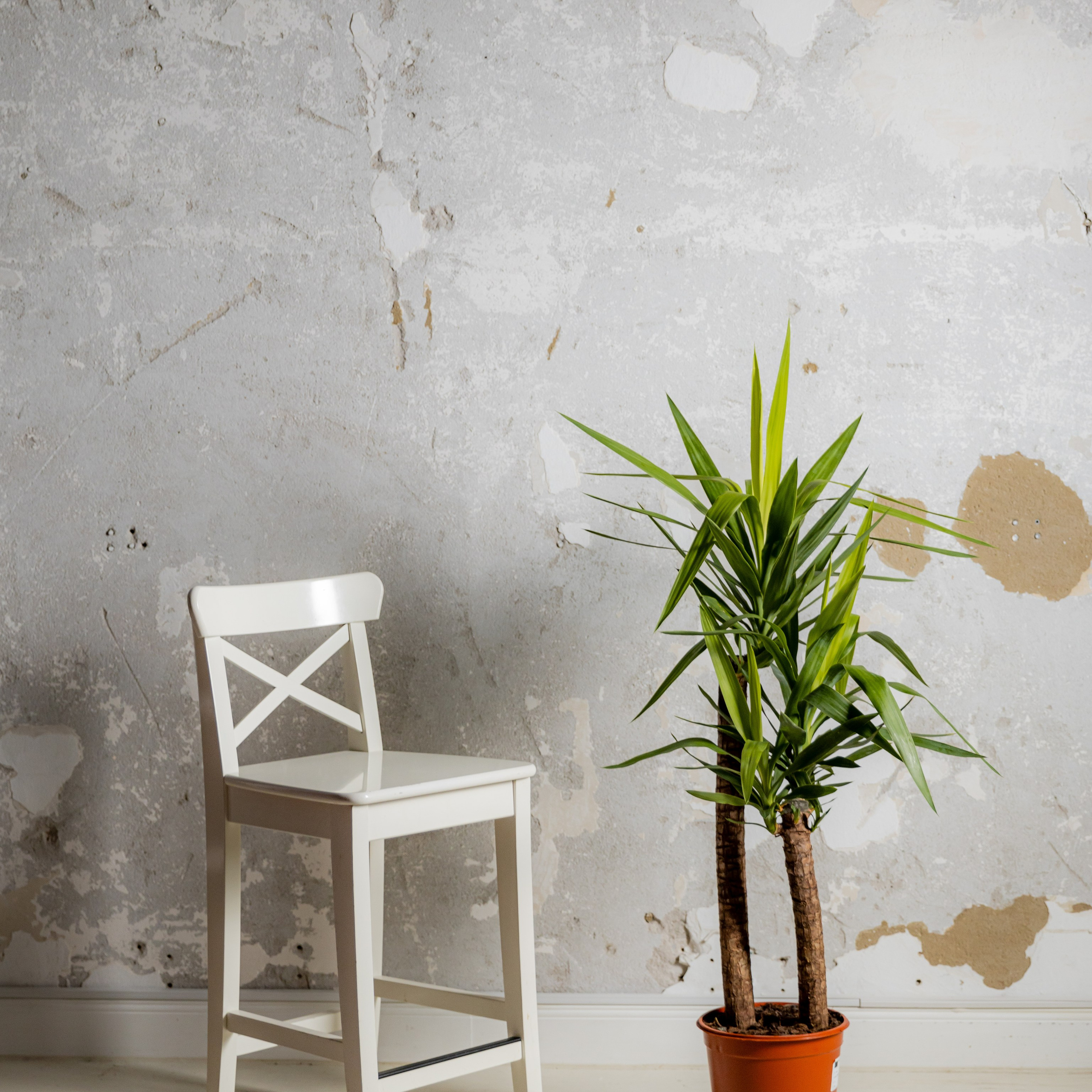 Leon Fotostudio Hamburg