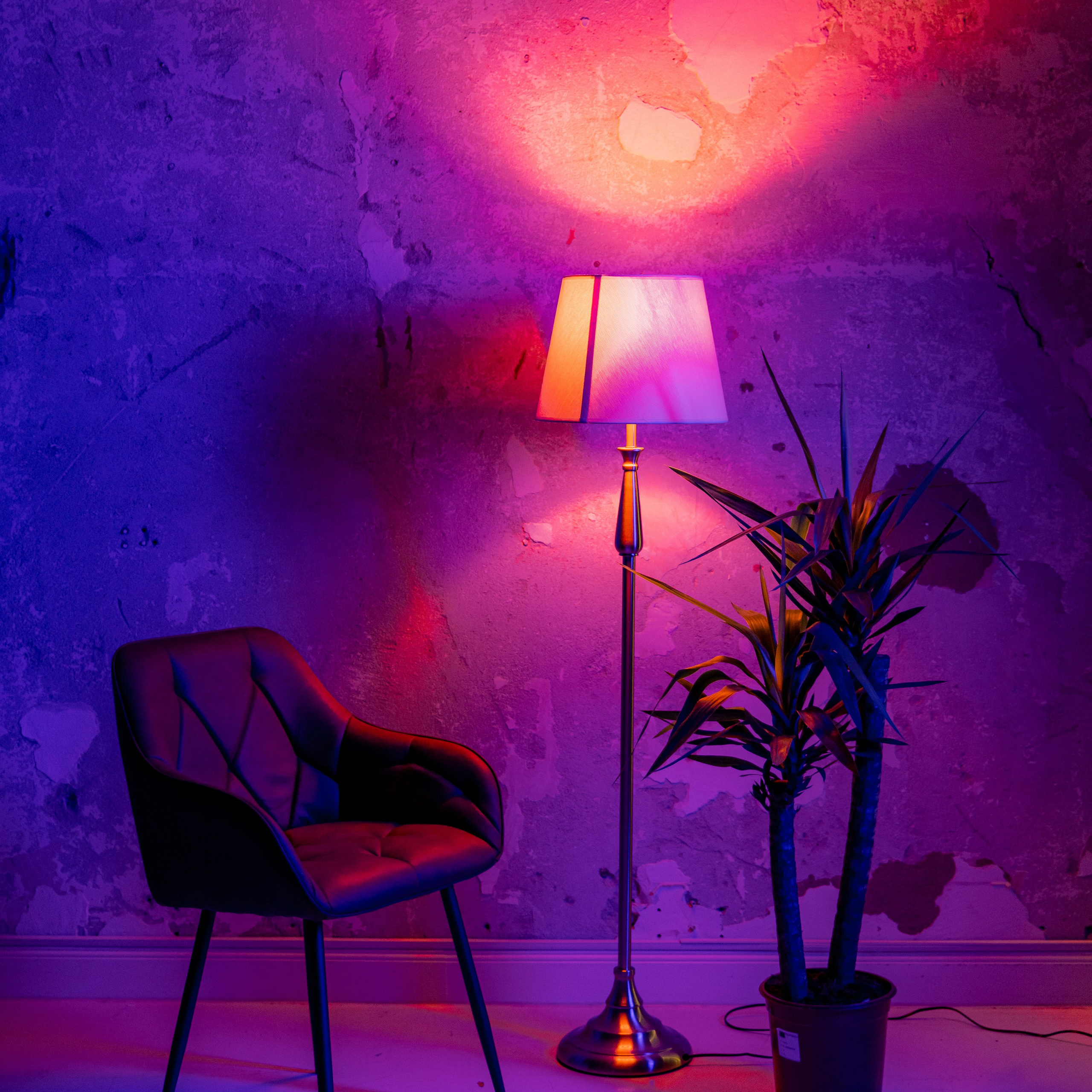 Leon Fotostudio Hamburg