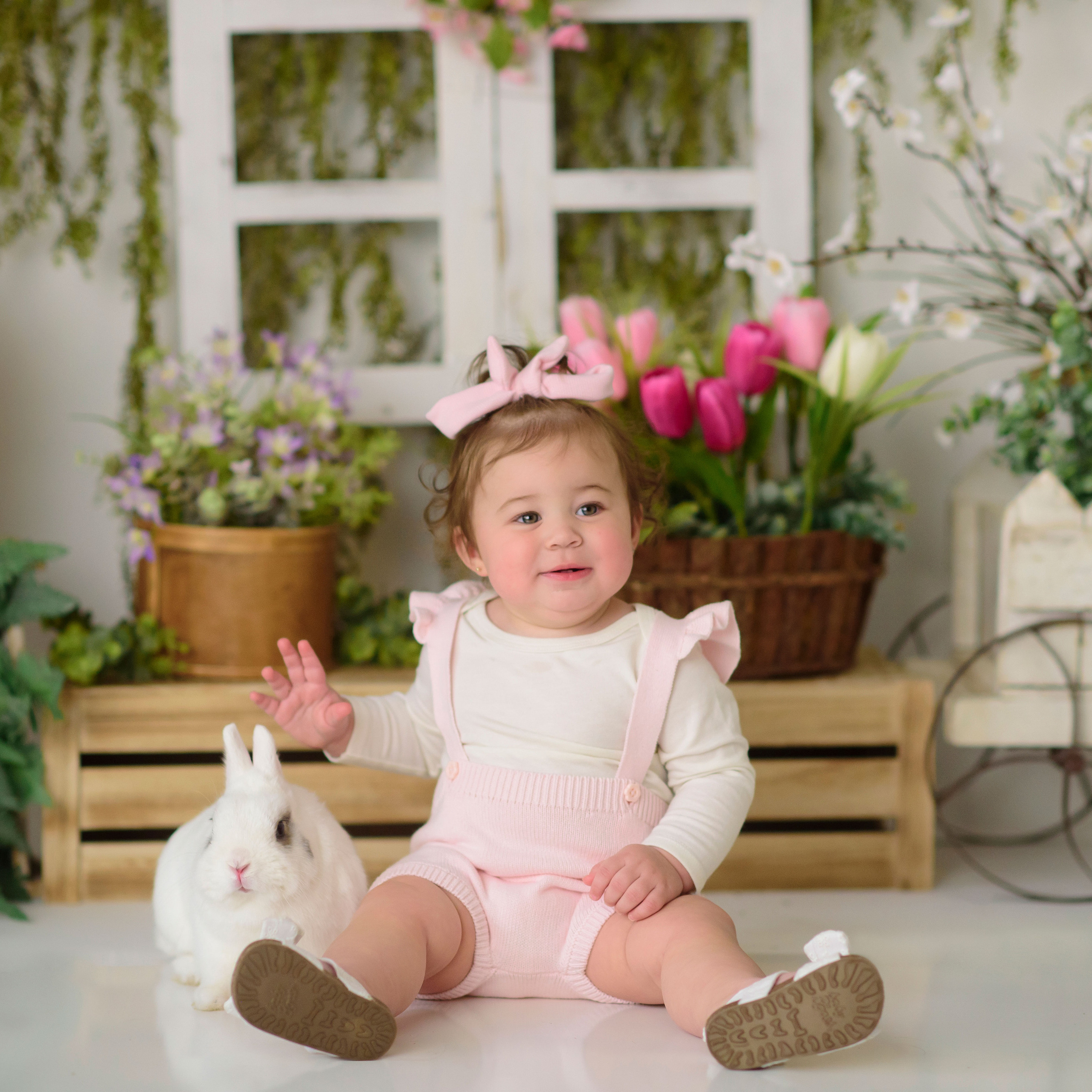 Stories. Family photographer in Roseville, Rocklin, Folsom, Sacramento