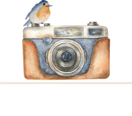 pujicbojanaphoto.com