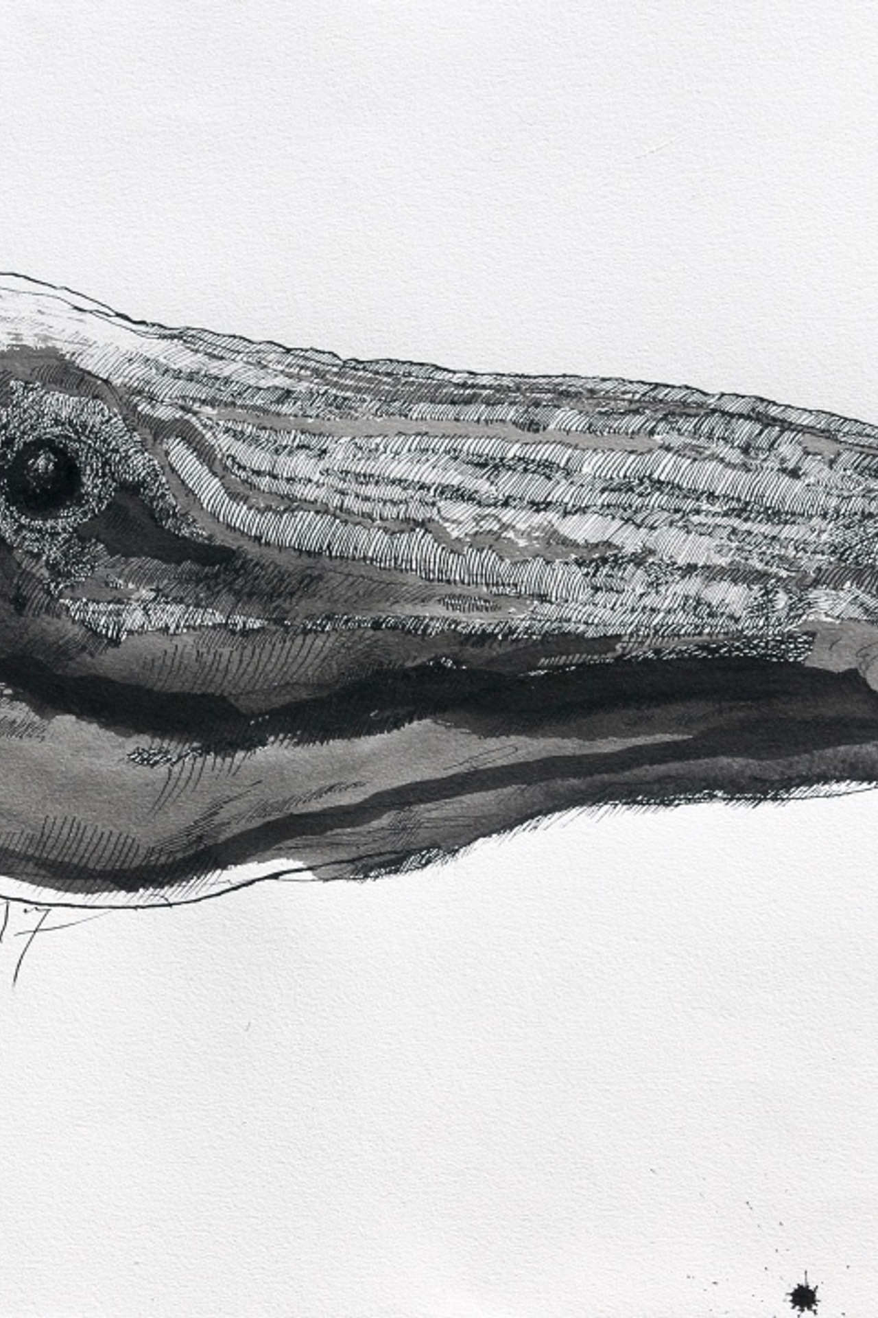 Końskie głowy - cykl 2016 - 2018