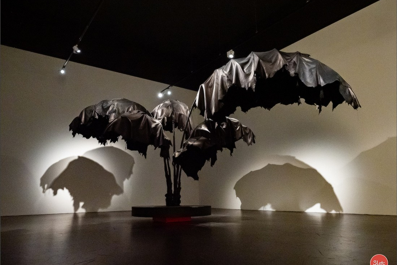 Blog. Photographe à Strasbourg | Portraits, Studio, Enfants, Événements