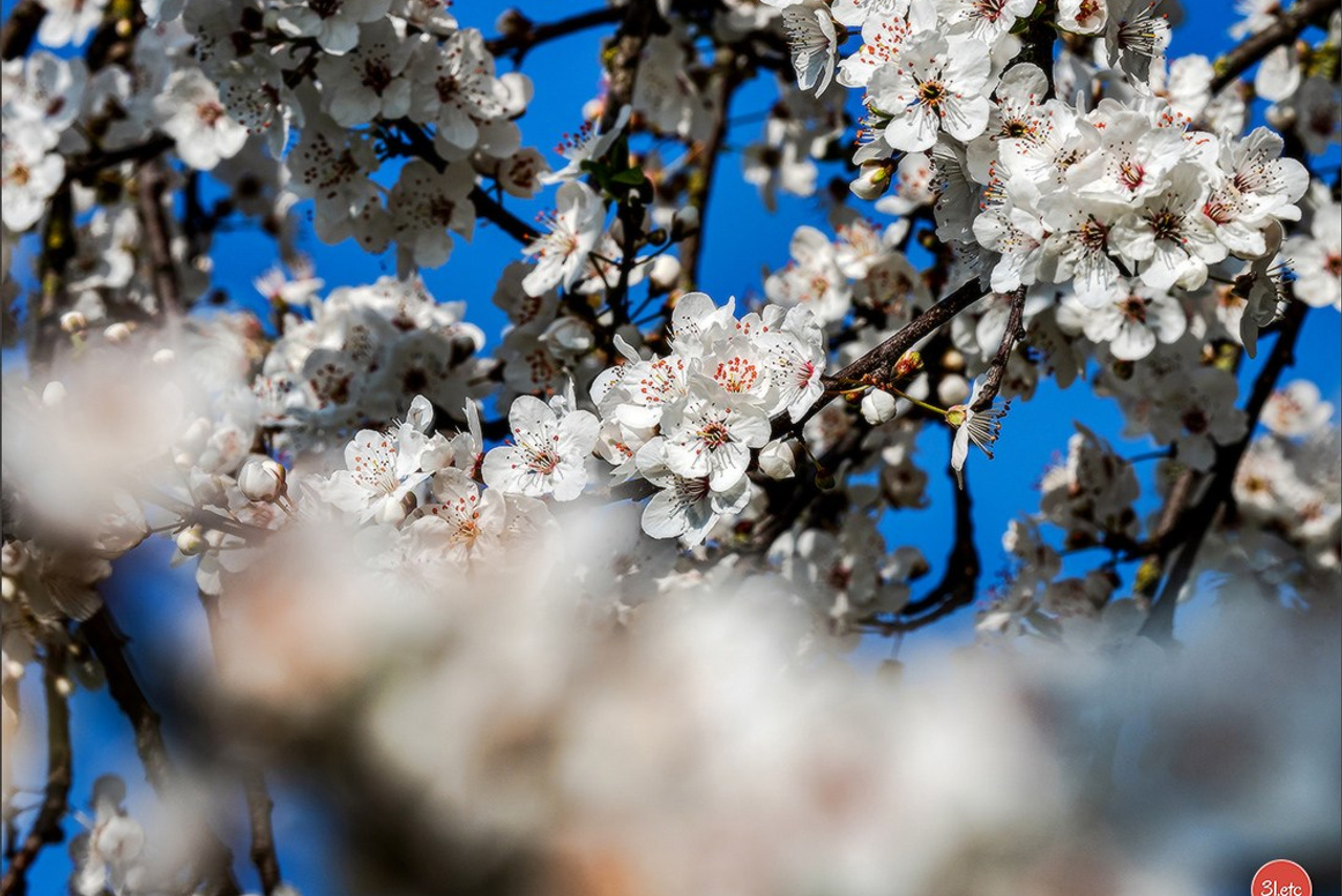 Blog. Photographe à Strasbourg | Portraits, Studio, Enfants, Événements