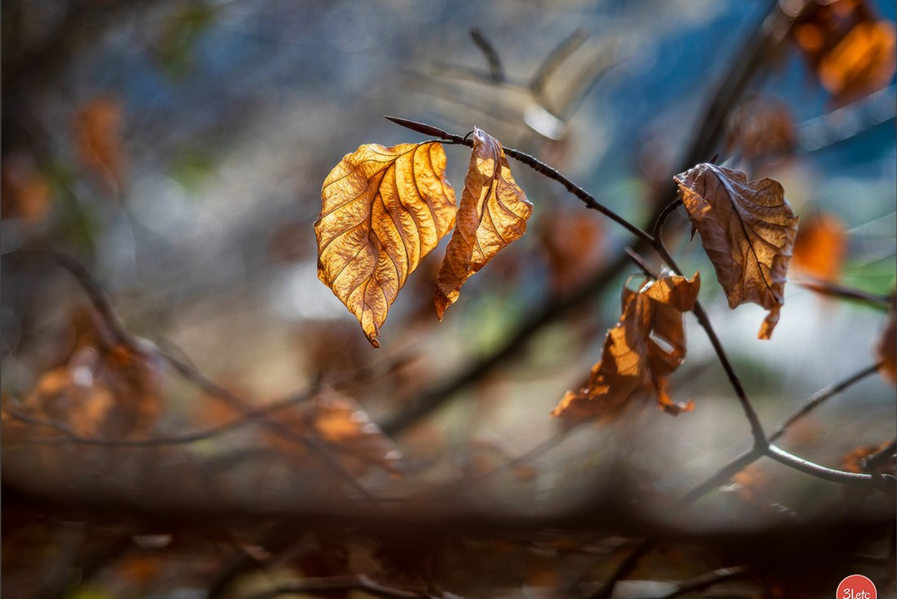 Blog. Photographe à Strasbourg | Portraits, Studio, Enfants, Événements