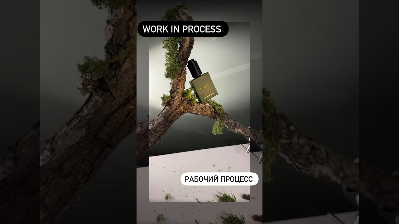 Fotografía de Productos de Alta Calidad para Marca de Cosméticos