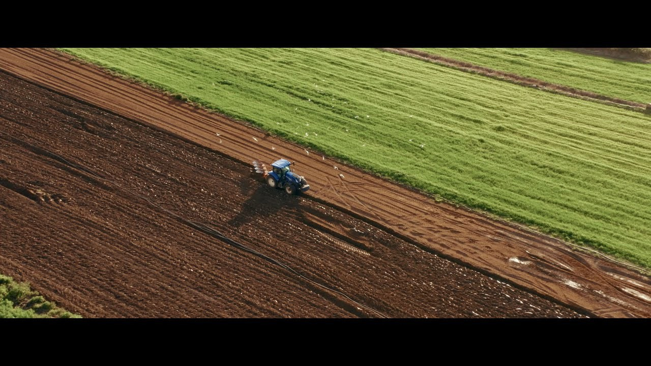 Olho Marinho — 100 Years of History Documentary | Beyond Creative. Beyond Creative 20 | Cinematic Video & Photography Production Lisbon & Algarve