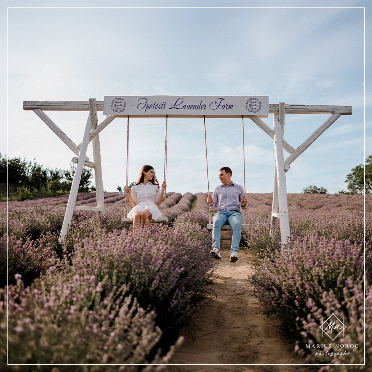 Corina & Vasi | Save the Date | Ipotesti Lavender Farm