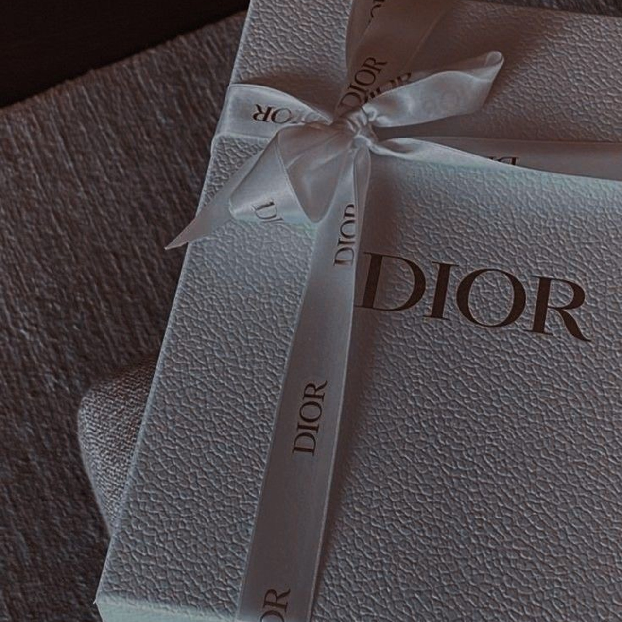 Vienna Photo Day. Photographer in Krakow/Europe Veronika Stoma