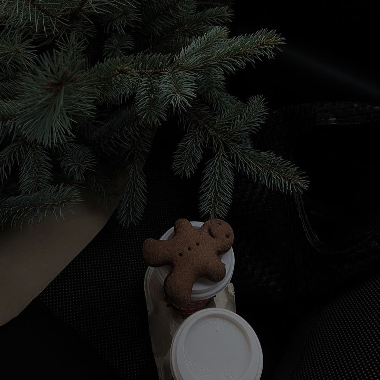 Christmas Photo Day 2024. Фотограф в Кракове/Европе Вероника Стома