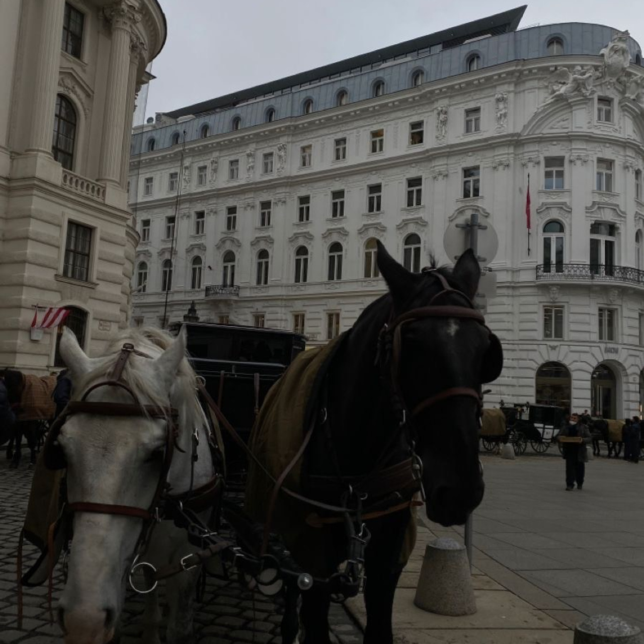 Vienna Photo Day. Photographer in Krakow/Europe Veronika Stoma