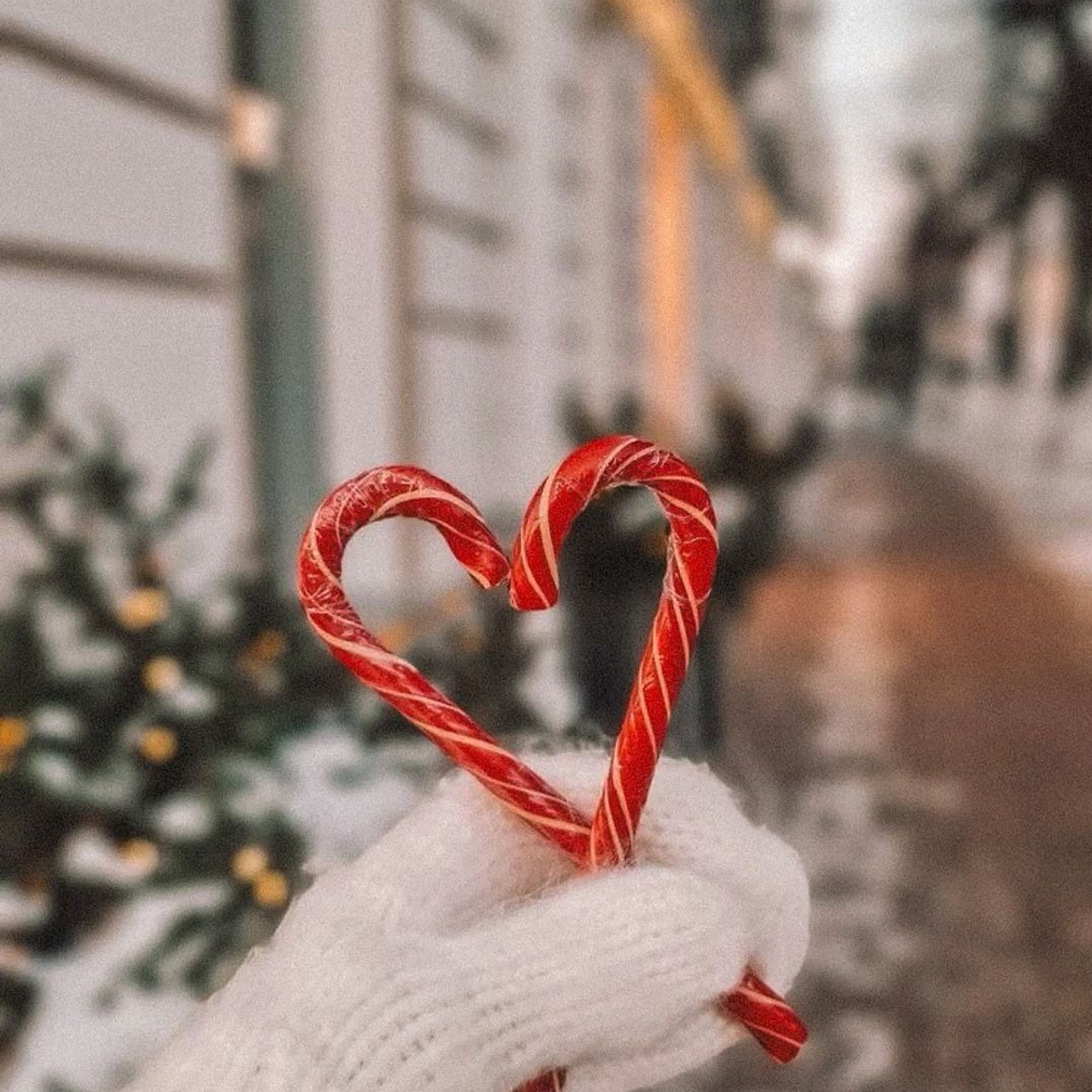 Christmas Photo Day 2024. Фотограф в Кракове/Европе Вероника Стома