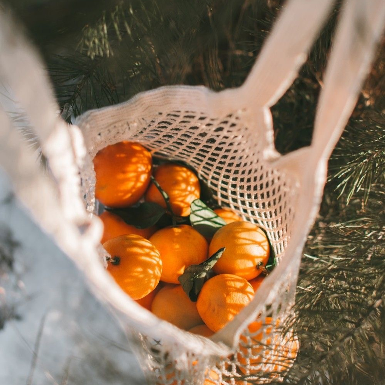 Christmas Photo Day 2024. Фотограф в Кракове/Европе Вероника Стома