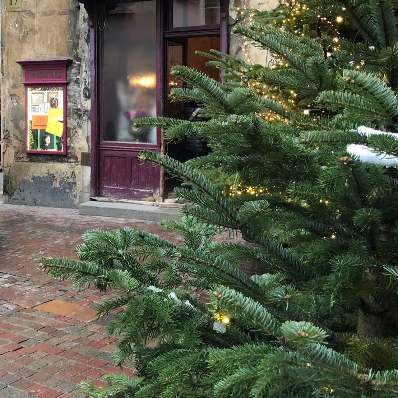 Christmas Photo Day 2024. Фотограф в Кракове/Европе Вероника Стома