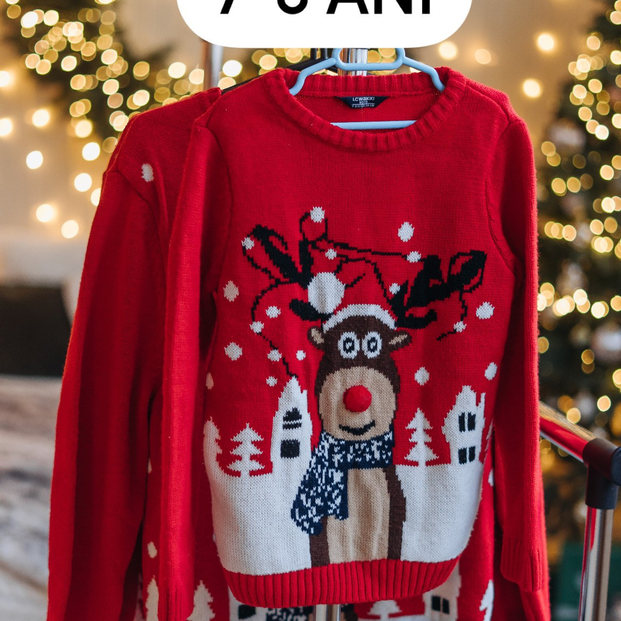 Ședința foto de Crăciun. Diana Muntean Photography