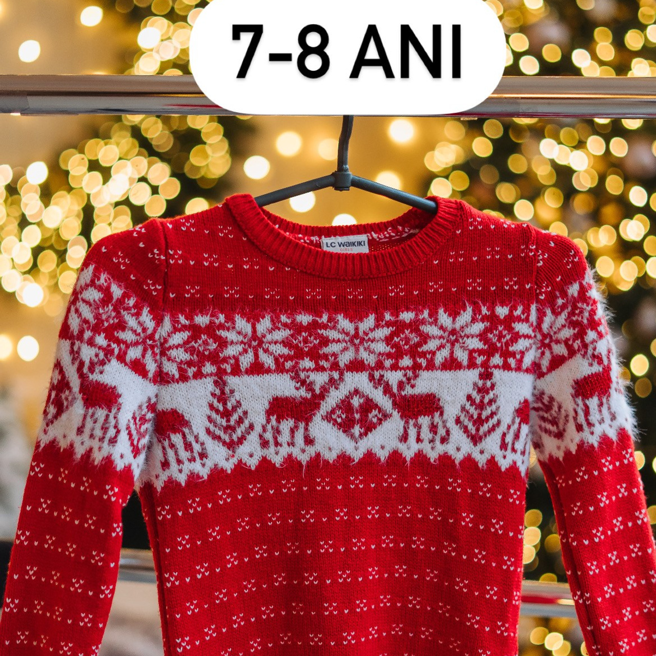 Ședința foto de Crăciun. Diana Muntean Photography