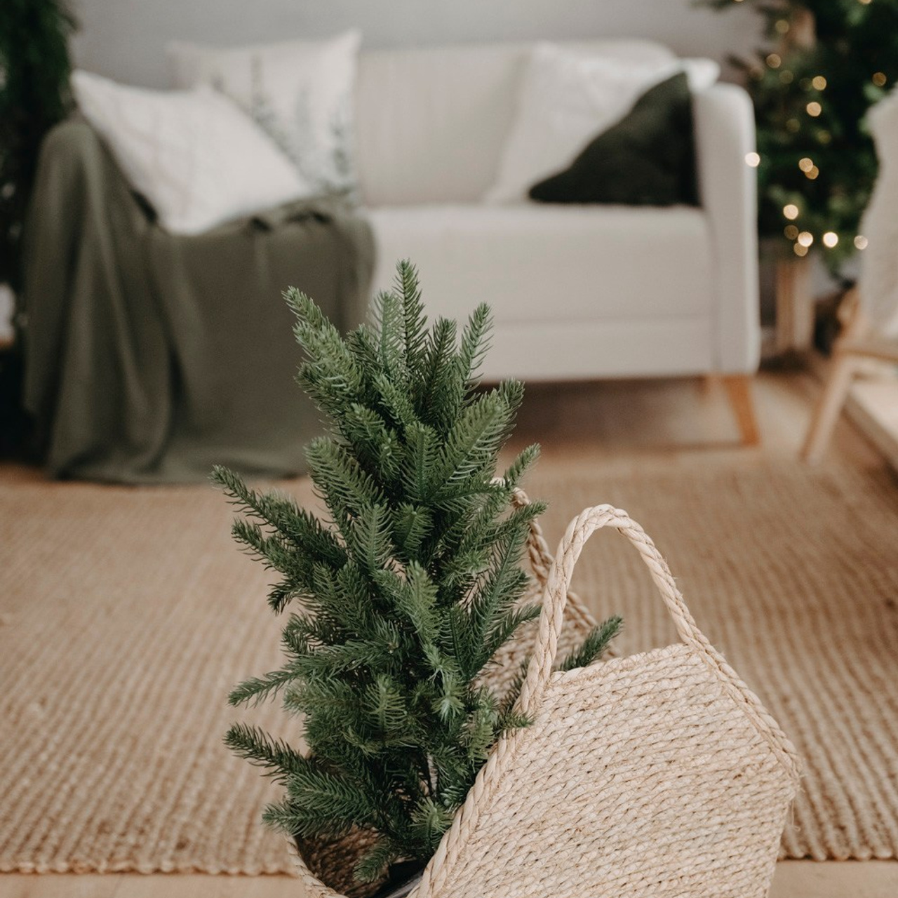 NOVOGODISNJE FOTOGRAFISANJE. Deciji i porodicni fotograf u Beogradu Oksana Skendzic