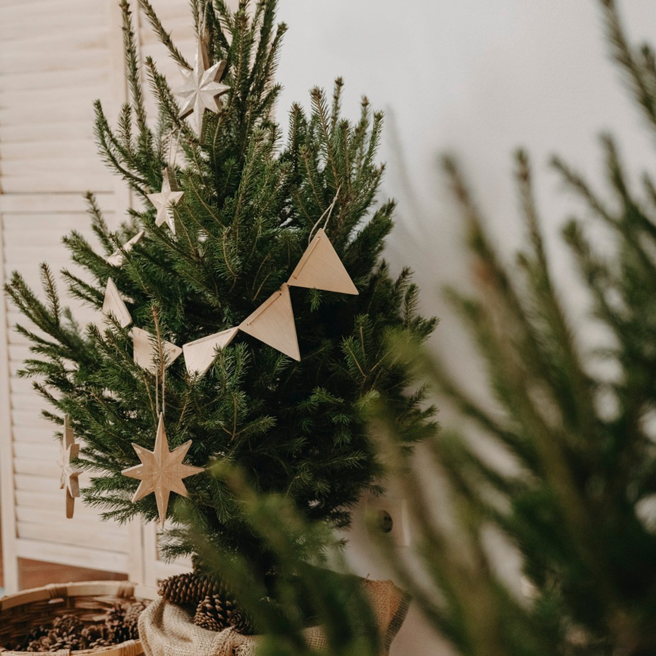 NOVOGODISNJE FOTOGRAFISANJE. Deciji i porodicni fotograf u Beogradu Oksana Skendzic