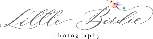 littlebirdie.pro