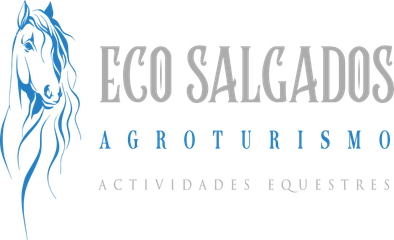 ecosalgadosagroturismo.com