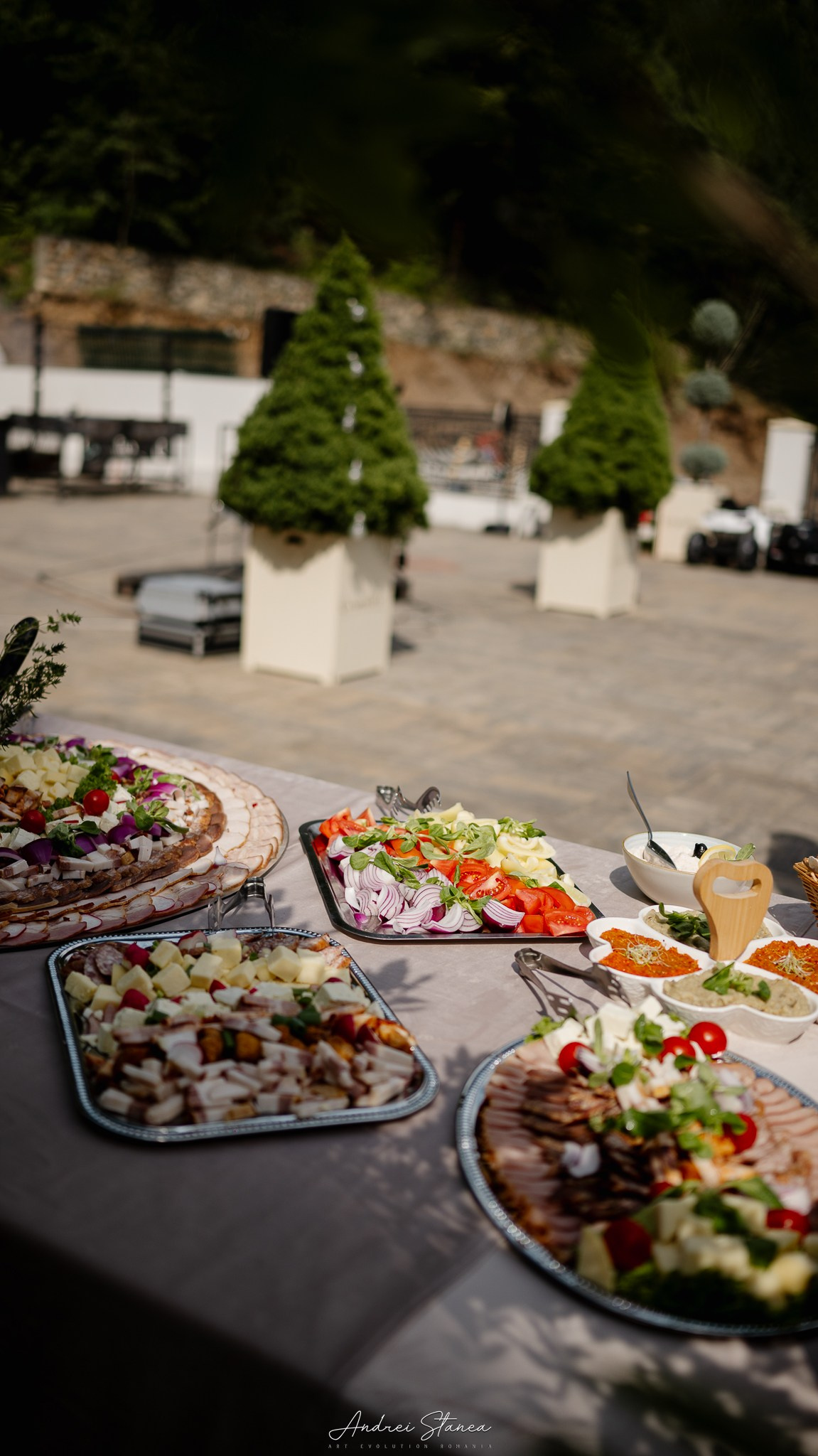 Claudia & Mircea. Andrei Stanea