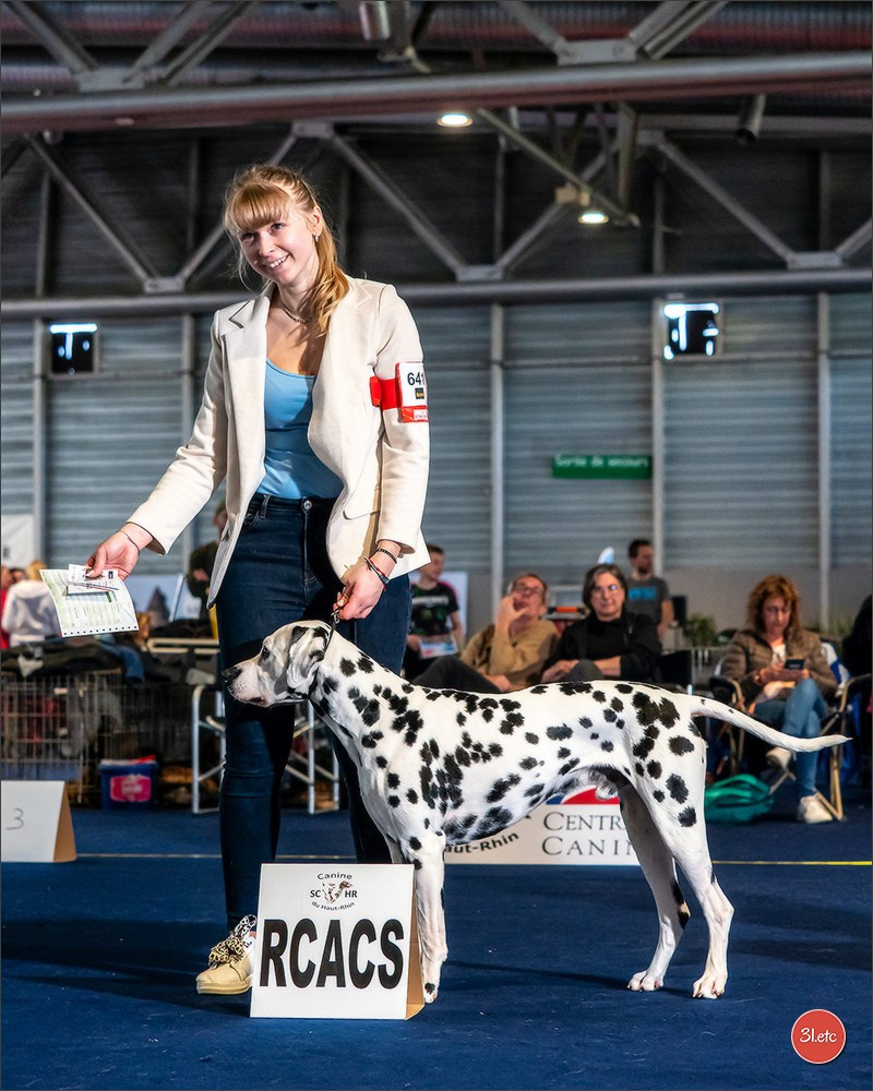 Photographie animalière. Photographe à Strasbourg | Portraits, Studio, Enfants, Événements