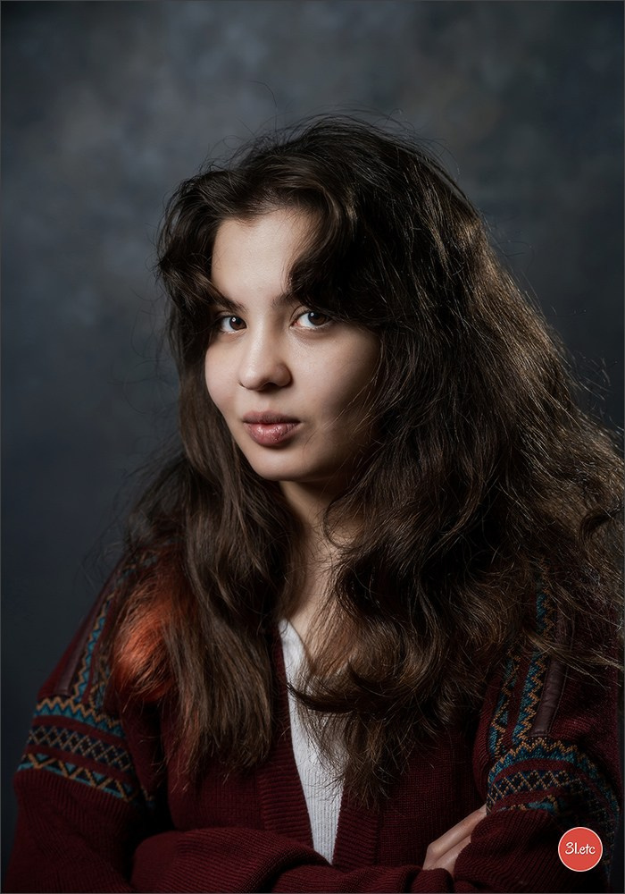 Portrait ou portrait de famille chez vous. Photographe à Strasbourg | Portraits, Studio, Enfants, Événements