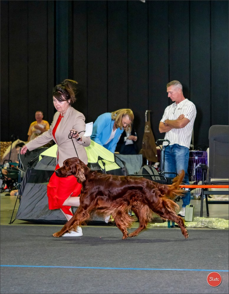 🇱🇺 LUXEMBOURG 🇱🇺 International Dog Show 🇱🇺 31/08 - 01/09/2024. Photographe à Strasbourg | Portraits, Studio, Enfants, Événements