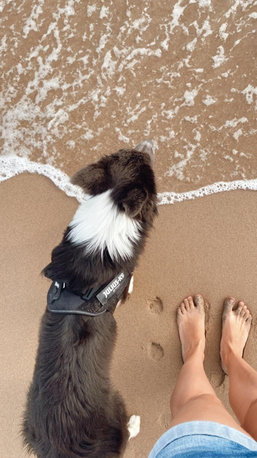 Jógový pobyt v Portugalsku 2024. Mateřství. Nevýchova. Život v souladu s přírodou. Jóga