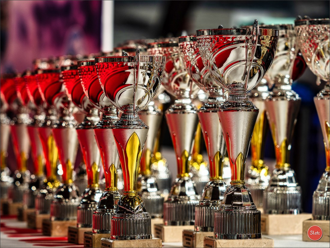 Photographie animalière. Photographe à Strasbourg | Portraits, Studio, Enfants, Événements