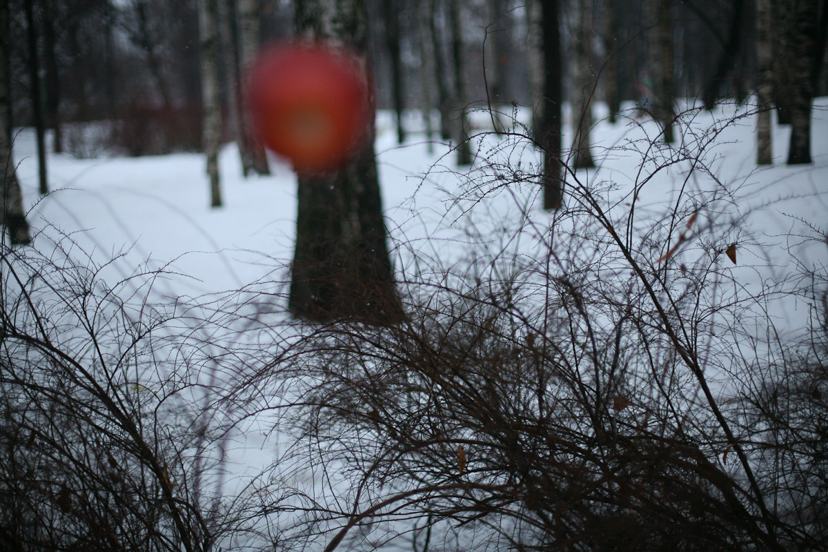 Luda and the apples of old winter. Victoria Dini. Art photography in London / Folkestone, UK