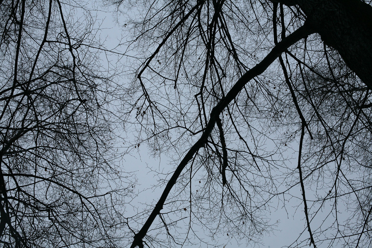 Luda and the apples of old winter. Victoria Dini. Art photography in London / Folkestone, UK