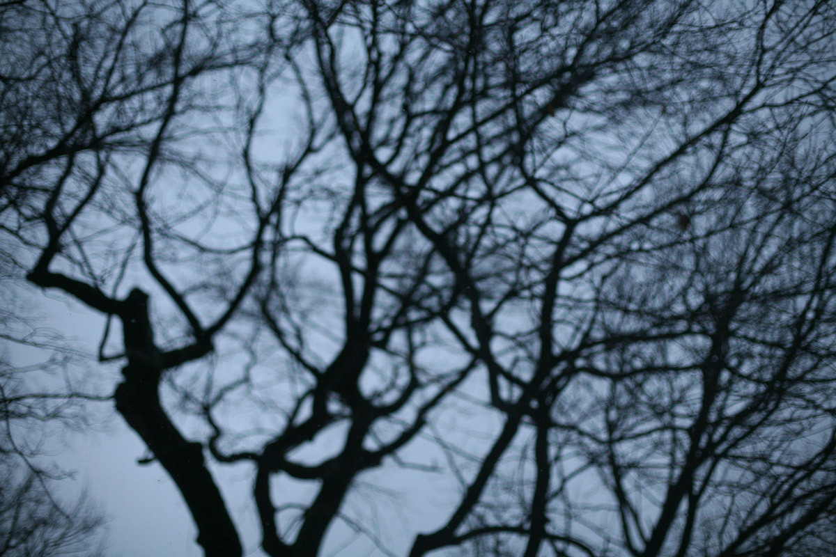 Luda and the apples of old winter. Victoria Dini. Art photography in London / Folkestone, UK