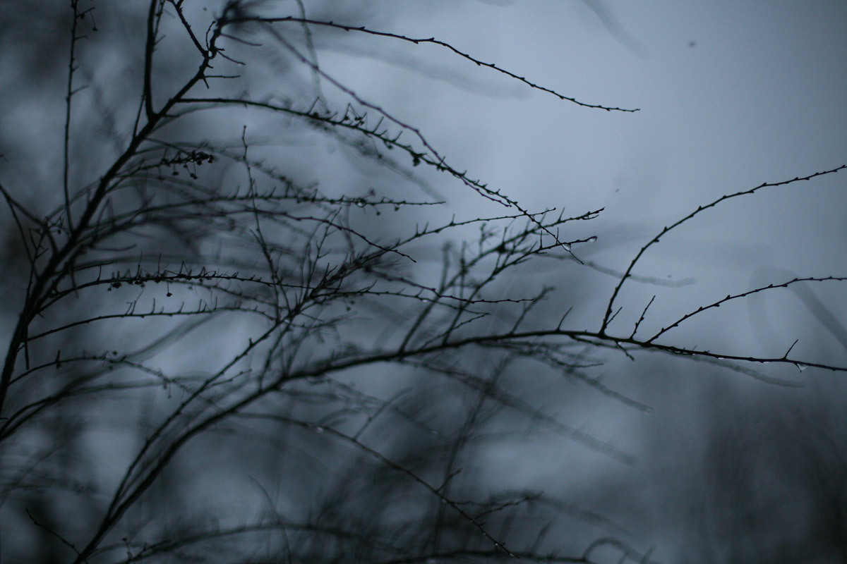 Luda and the apples of old winter. Victoria Dini. Art photography in London / Folkestone, UK