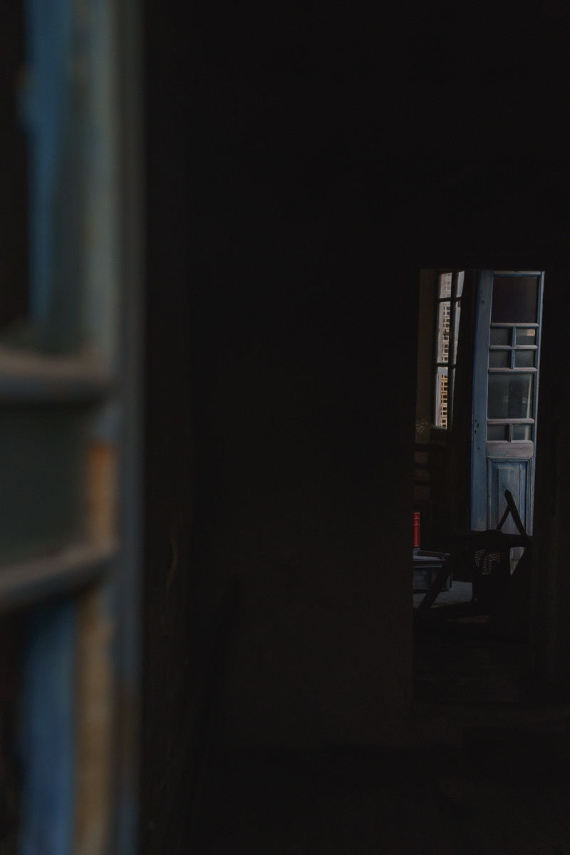 Cyprus diary (in work). Ant | photo