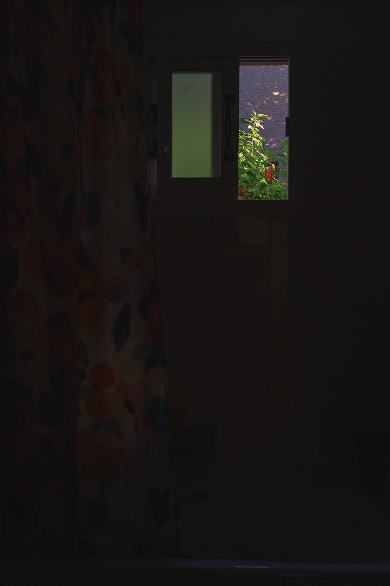 Cyprus diary (in work). Ant | photo