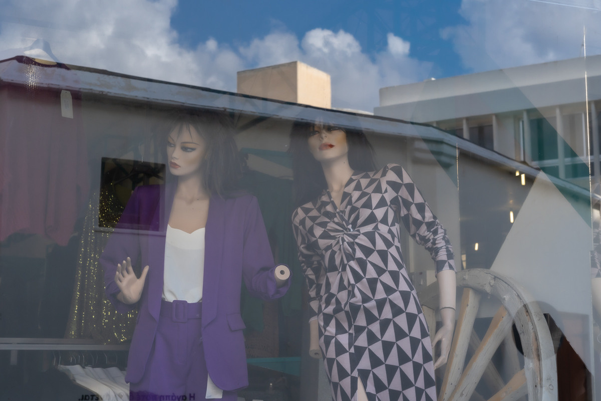 Cyprus diary (in work). Ant | photo