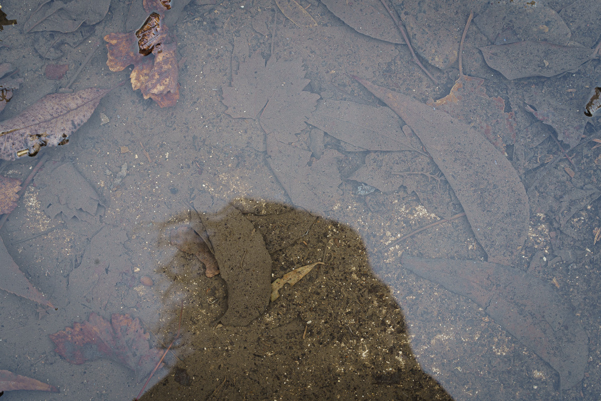 Cyprus diary (in work). Ant | photo