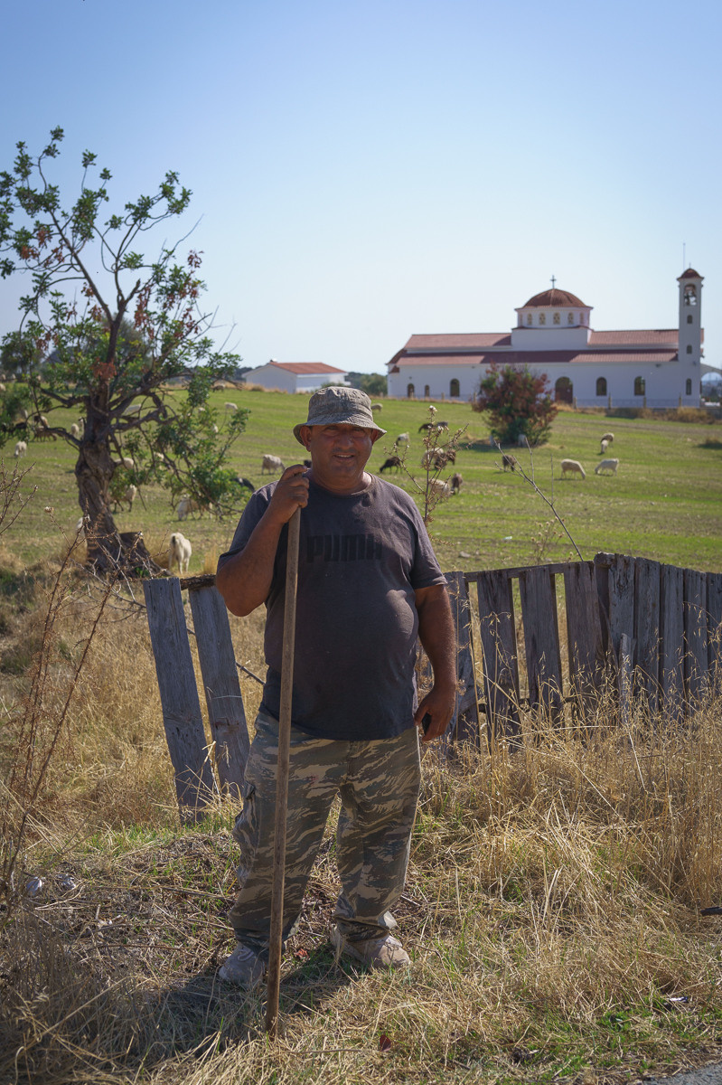 Cyprus diary (in work). Ant | photo