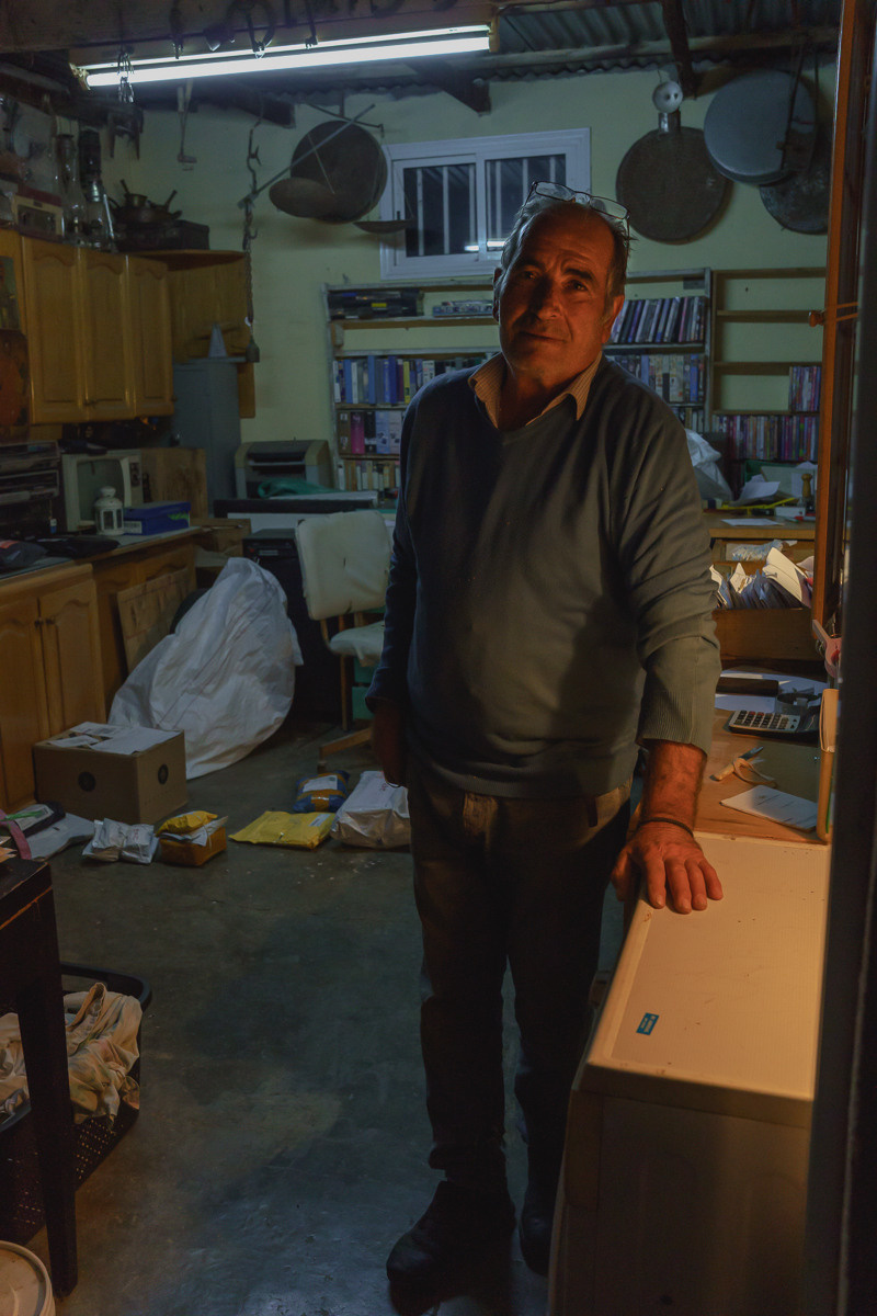 Cyprus diary (in work). Ant | photo