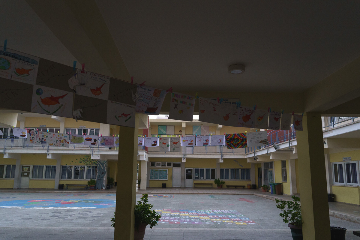 Cyprus diary (in work). Ant | photo