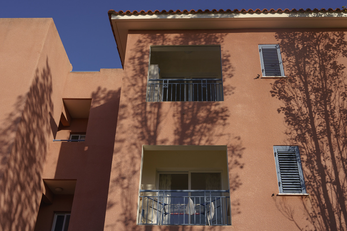 Cyprus diary (in work). Ant | photo