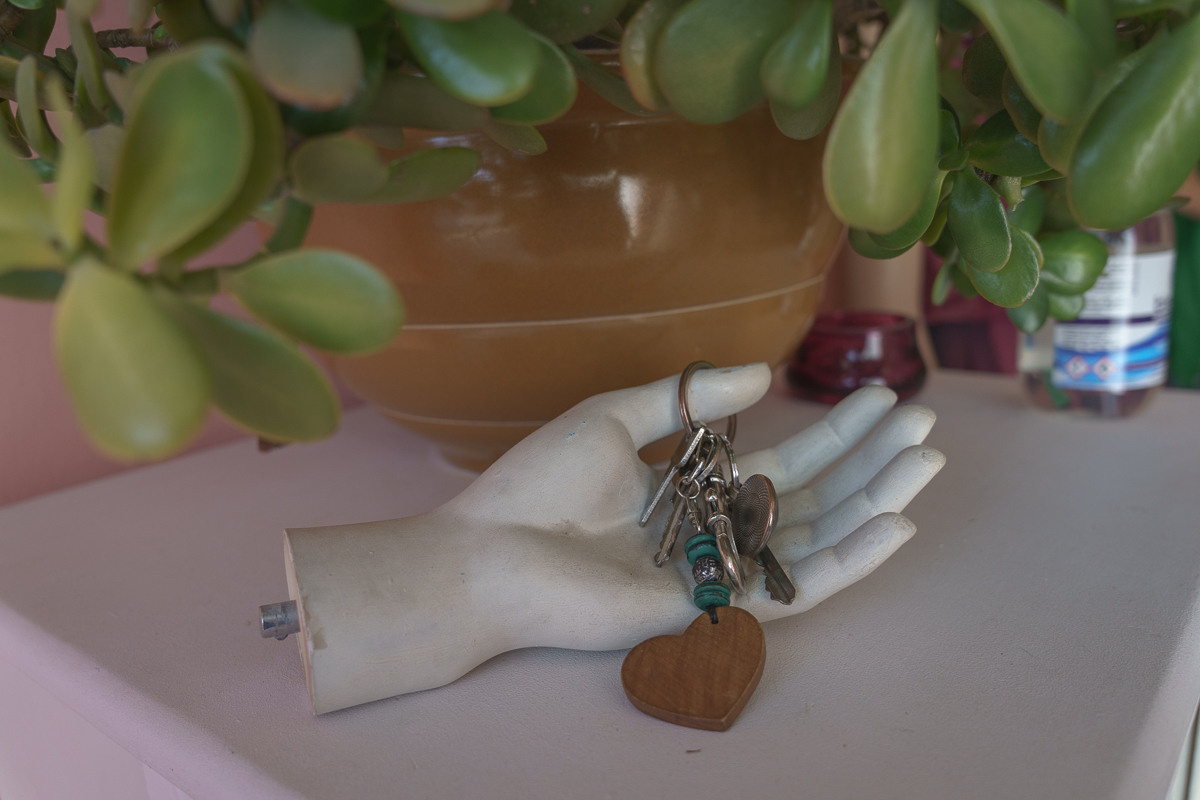 Cyprus diary (in work). Ant | photo