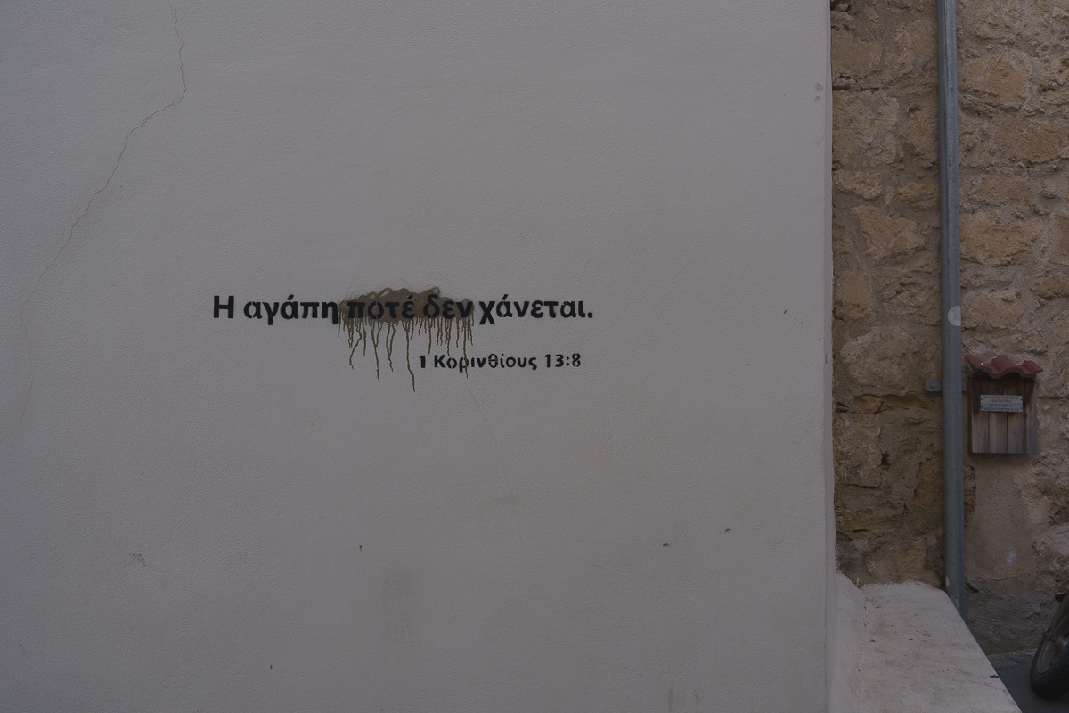 Cyprus diary (in work). Ant | photo