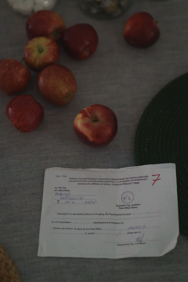 Cyprus diary (in work). Ant | photo