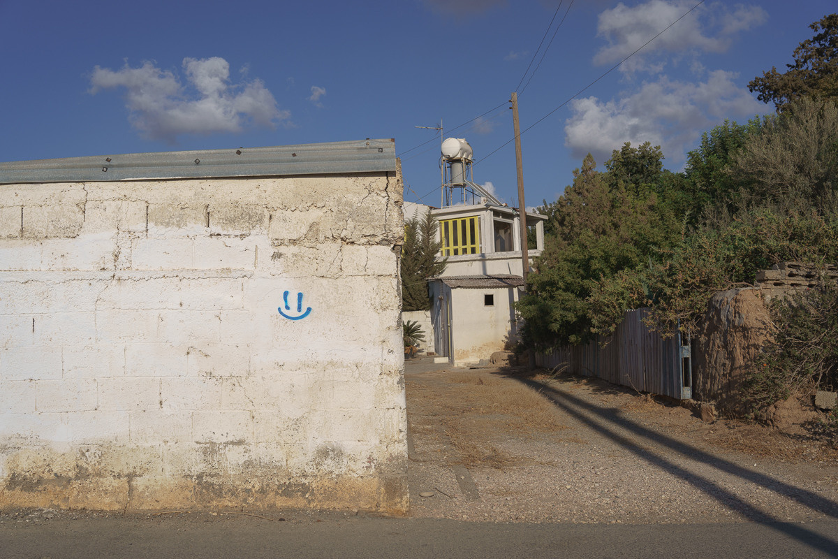 Cyprus diary (in work). Ant | photo