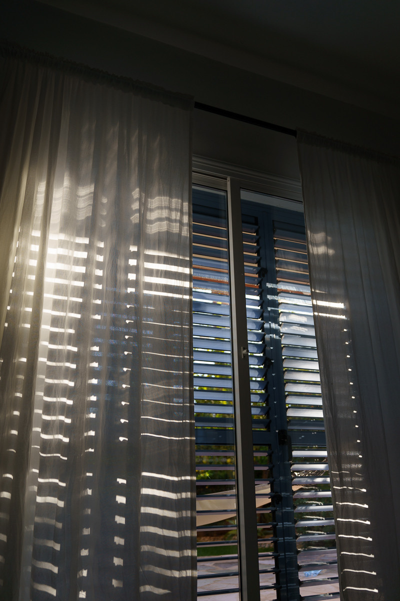 Cyprus diary (in work). Ant | photo