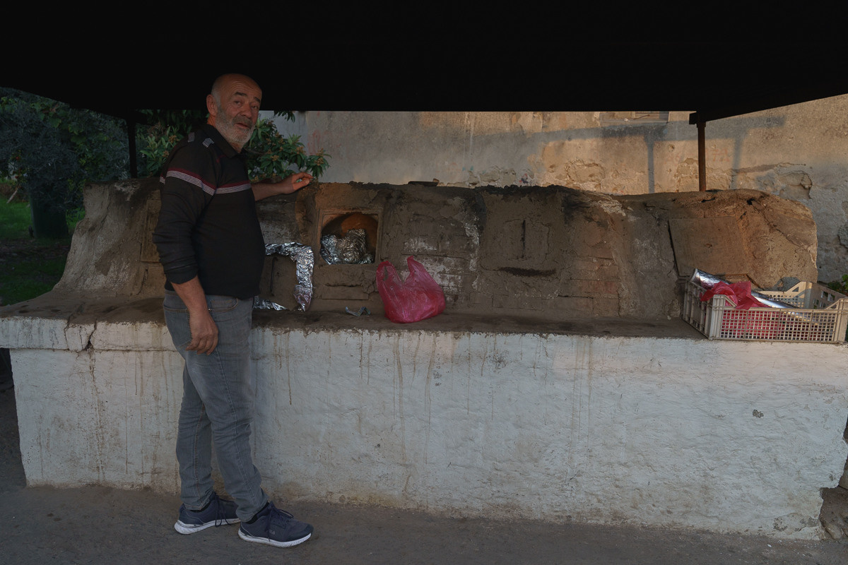 Cyprus diary (in work). Ant | photo