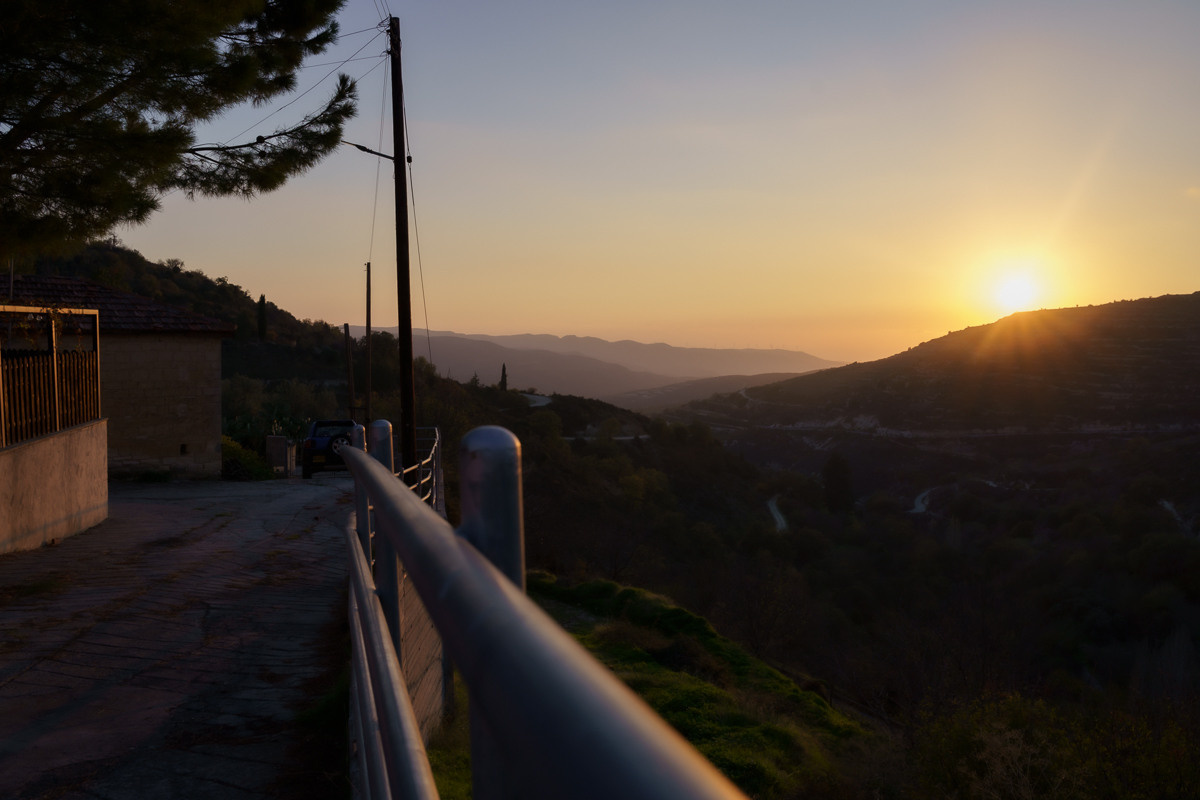 Cyprus diary (in work). Ant | photo